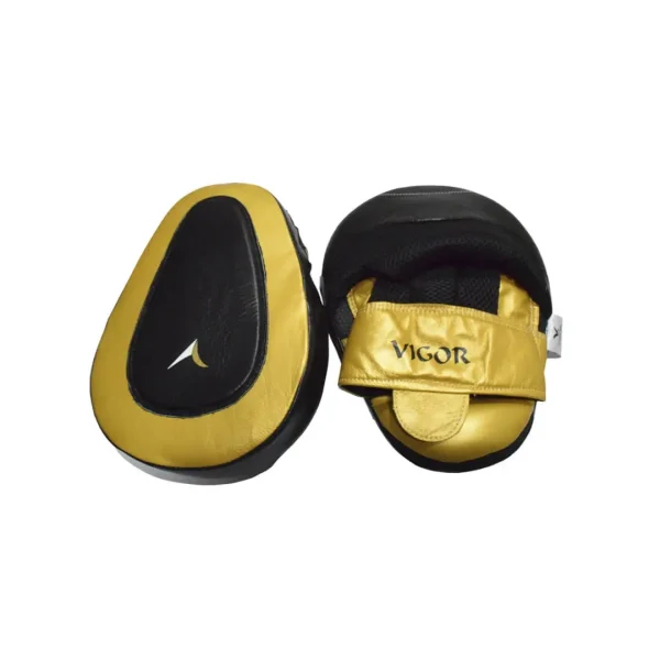Curve Punch Mitts